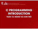 Bài giảng C Programming introduction: Tuần 12 - Mảng và con trỏ