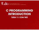 Bài giảng C Programming introduction: Tuần 11 - Con trỏ