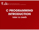 Bài giảng C Programming introduction: Tuần 13 - Chuỗi