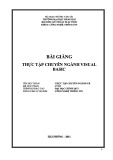 Bài giảng Thực tập chuyên ngành Visual Basic