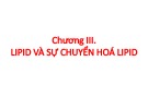 Bài giảng Hóa sinh động vật: Chương 3 - Nguyễn Thị Lệ Quyên