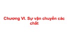 Bài giảng Hóa sinh động vật: Chương 6 - Nguyễn Thị Lệ Quyên