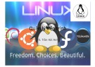 Bài giảng LINUX và phần mềm nguồn mở - Chương 3: Quản lý tiến trình