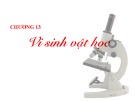 Bài giảng Sinh học đại cương - Chương 13: Vi sinh vật học