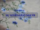 Bài giảng Sinh học đại cương - Chương 22: Sự sinh sản ở người