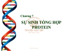 Bài giảng Sinh học đại cương - Chương 7: Sự sinh tổng hợp protein
