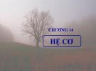 Bài giảng Sinh học đại cương - Chương 14: Hệ cơ