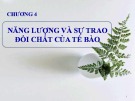 Bài giảng Sinh học đại cương - Chương 4: Năng lượng và sự trao đổi chất của tế bào