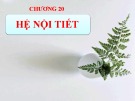 Bài giảng Sinh học đại cương - Chương 20: Hệ nội tiết