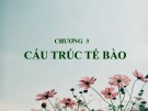 Bài giảng Sinh học đại cương - Chương 3: Cấu trúc tế bào