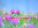 Bài giảng Sinh học đại cương - Chương 9: Cấu trúc của thực vật