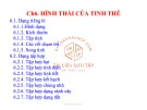 Bài giảng Tinh thể và khoáng vật - Chương 6: Hình thái của tinh thể