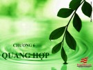 Bài giảng Sinh học đại cương - Chương 6: Quang hợp