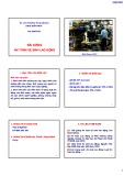 Bài giảng An toàn vệ sinh lao động - ThS. Ngô Bảo