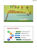 Bài giảng Đầu tư tài chính: Chương 4 - TS. Nguyễn Việt Hồng Anh