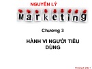 Bài giảng Nguyên lý marketing: Chương 3