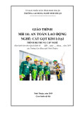 Giáo trình An toàn lao động (Ngành: Cắt gọt kim loại - Trung cấp) - Trường Cao đẳng nghề Ninh Thuận