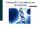 Bài giảng Sinh học đại cương A1: Chương 3 - TS. Đoàn Thị Phương Thùy