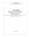 Giáo trình Thực hành làm mô hình (Ngành: Họa viên kiến trúc - Trung cấp) - Trường Cao đẳng Xây dựng số 1 (Năm 2023)