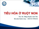 Bài giảng Tiêu hóa ở ruột non - ThS. BS Đặng Huỳnh Anh Thư