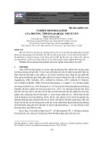 Nghiệm Renormalized của phương trình parabolic phi tuyến
