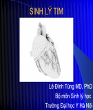 Bài giảng Sinh lý tuần hoàn - Lê Đình Tùng