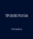 Bài giảng Tiếp cận điều trị xơ gan - TS.BS. Võ Hồng Minh Công