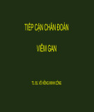 Bài giảng Tiếp cận chẩn đoán viêm gan - TS. BS. Võ Hồng Minh Công
