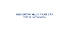 Bài giảng Hội chứng mạch vành cấp - TS.BS. Lê Cao Phương Duy