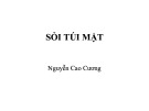 Bài giảng Sỏi túi mật - Nguyễn Cao Cương