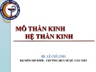 Bài giảng Mô thần kinh hệ thần kinh - BS. Lê Chí Linh