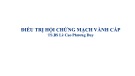 Bài giảng Điều trị hội chứng mạch vành cấp - TS.BS. Lê Cao Phương Duy