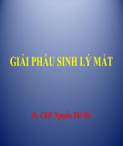 Bài giảng Giải phẫu sinh lý mắt - BS. CKII. Nguyễn Thế Hô