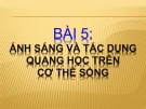 Bài giảng Vật lý và lý sinh - Bài 5: Ánh sáng và tác dụng quang học trên cơ thể sống