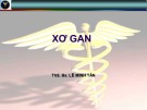 Bài giảng Xơ gan - ThS. Lê Minh Tân