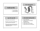 Bài giảng Thuốc lợi tiểu - ThS. BS. Lê Kim Khánh