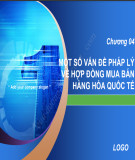 Bài giảng Pháp luật trong hoạt động kinh tế đối ngoại - Chương 4: Một số vấn đề pháp lý về Hợp đồng mua bán hàng hoá quốc tế