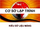 Bài giảng Cơ sở lập trình: Kiểu dữ liệu mảng