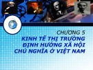 Bài giảng Kinh tế chính trị Mác-Lênin: Chương 5 - Trương Thị Thùy Dung