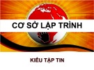 Bài giảng Cơ sở lập trình: Kiểu tập tin
