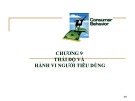 Bài giảng Hành vi người tiêu dùng: Thái độ và hành vi người tiêu dùng (Chương 9)
