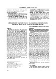 Kết quả phẫu thuật thay khớp háng toàn phần không xi măng ở bệnh nhân loãng xương: Nghiên cứu và đánh giá