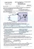 Đề thi giữa học kì 1 môn Sinh học lớp 11 năm 2024-2025 - Trường THPT Dĩ An, Bình Dương