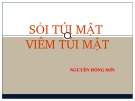 Bài giảng Sỏi túi mật - Viêm túi mật - Nguyễn Hồng Sơn