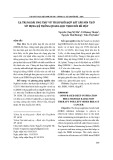 Xạ trị ngoài ung thư vú trái phối hợp hít sâu nín thở sử dụng hệ thống quang học theo dõi bề mặt