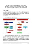 Điều trị rung nhĩ bằng năng lượng sóng tần số radio sử dụng hệ thống lập bản đồ ba chiều giải phẫu - điện học các buồng tim