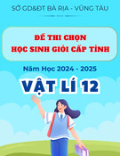Đề thi Vật lý lớp 12 năm 2024-2025 cấp tỉnh - Sở GD&ĐT Bà Rịa - Vũng Tàu (GDTX)
