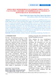 Simulation methododlogy of sediment imbalance in calculation and forecast morphological changes at downstream of Thai Binh river