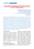 Calculation of flood discharge and storage capacity by climate change scenarios in Rach Bau Ha, Tuy Hoa city using the MIKE model