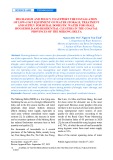 Mechanism and policy to support the installation of low-cost equipment on water storage, treatment and supply for rural domestic water for small household and residential clusters in the coastal provinces of the Mekong Delta